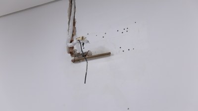 IMG_8023.JPG