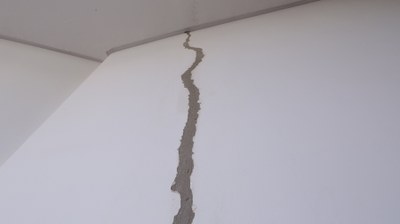 IMG_8559.JPG