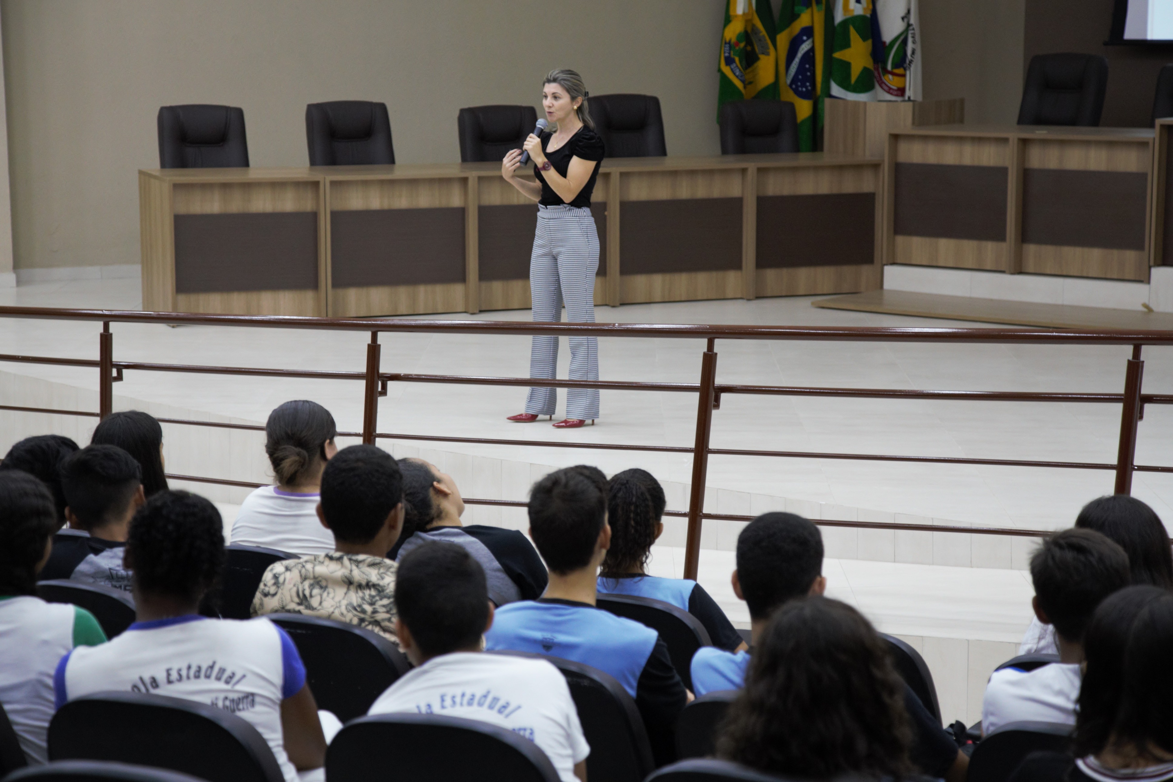 Câmara Mirim