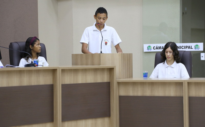 Câmara Mirim