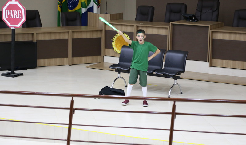 Câmara Mirim