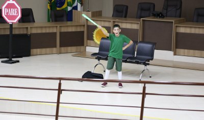 Câmara Mirim
