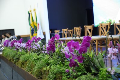 0P8A7152.JPG