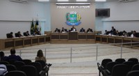 Câmara aprova obrigatoriedade de uso de colete refletivo por seguranças de casas noturnas