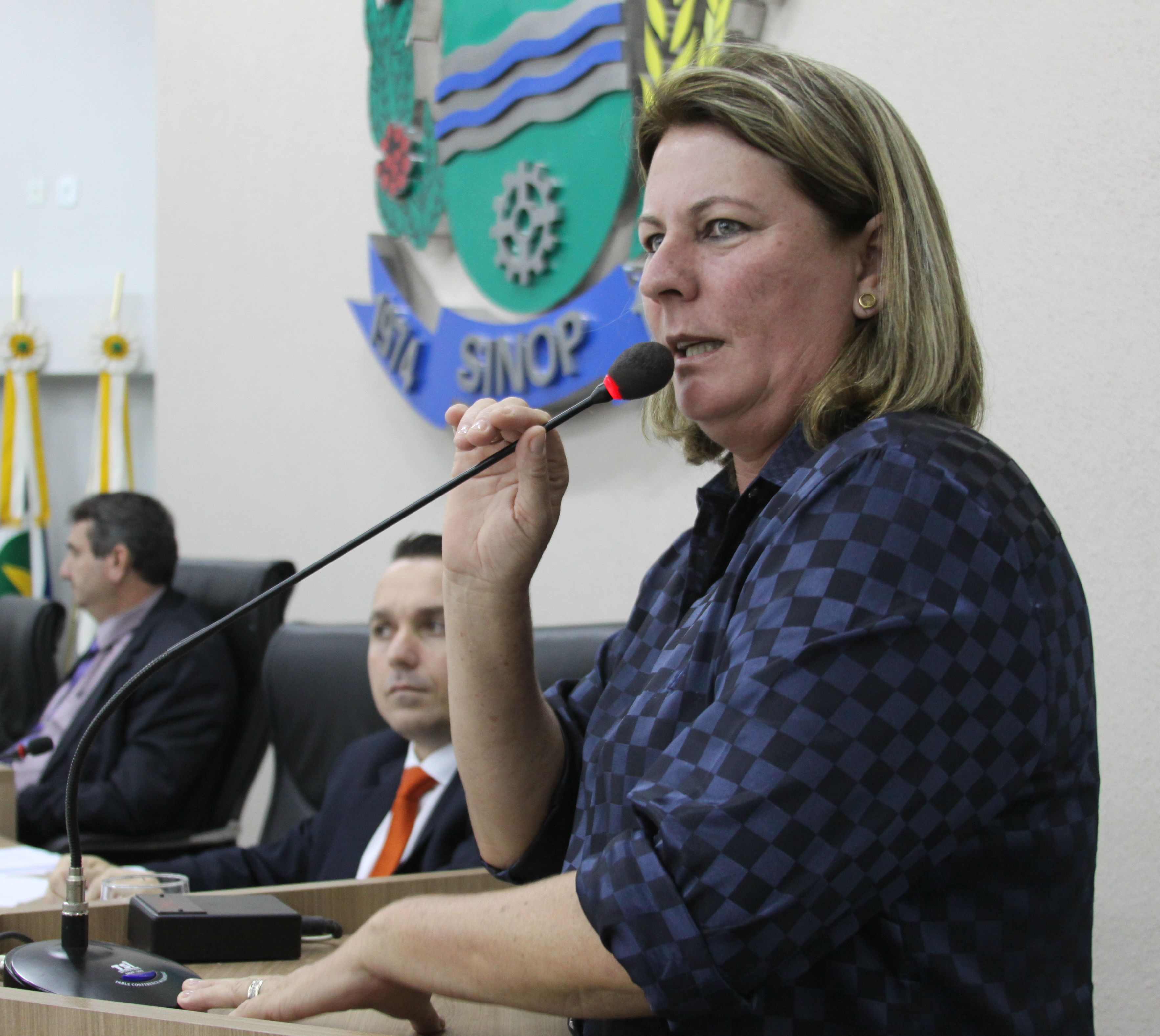Melhorias na sinalização e manutenção de estrada são indicações da vereadora Neiva