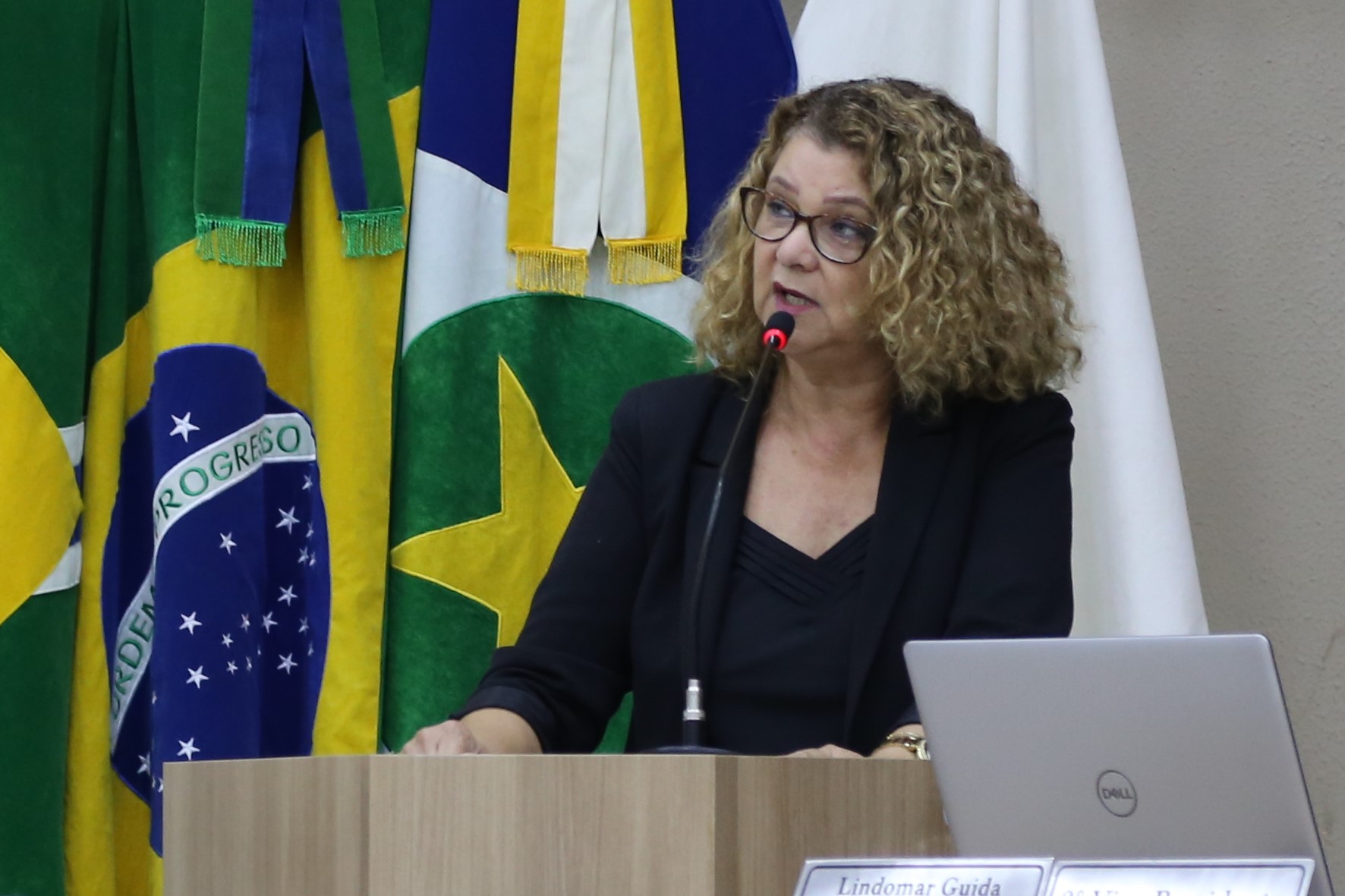 Vereadora Branca apresenta dois Projetos de Leis e Indicações