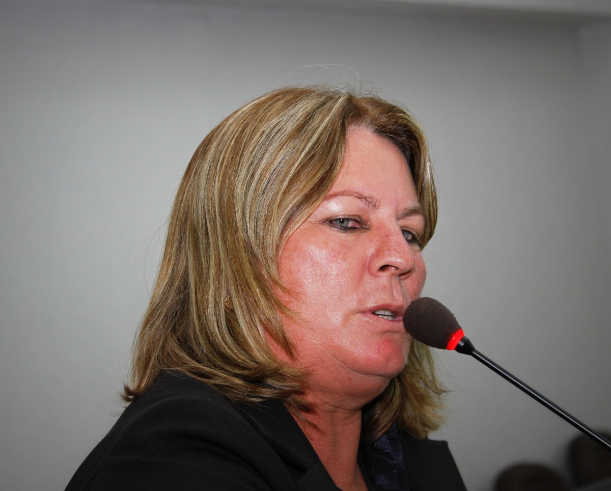 Vereadora Neiva pede instalação de redutores na rua João Pedro M. de Carvalho