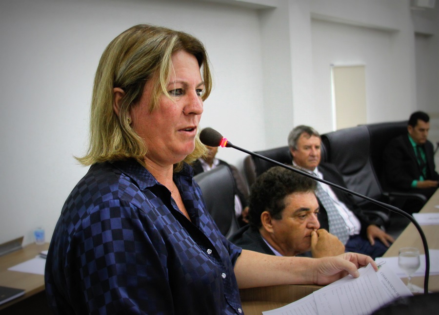 Vereadora Neiva solicita limpeza de vala e troca de lâmpadas em avenidas