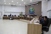 Vereadores autorizam município receber doação de madeira apreendida pelo IBAMA